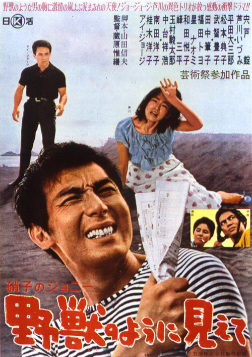Glass Hearted Johnny poster
