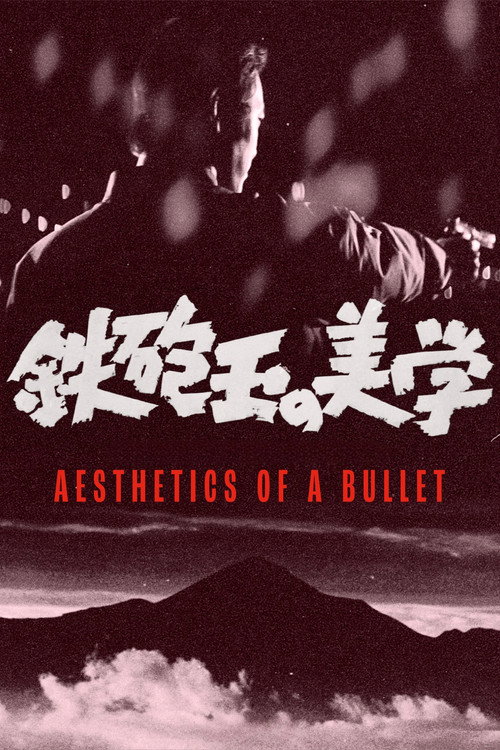Aesthetics of a Bullet poster