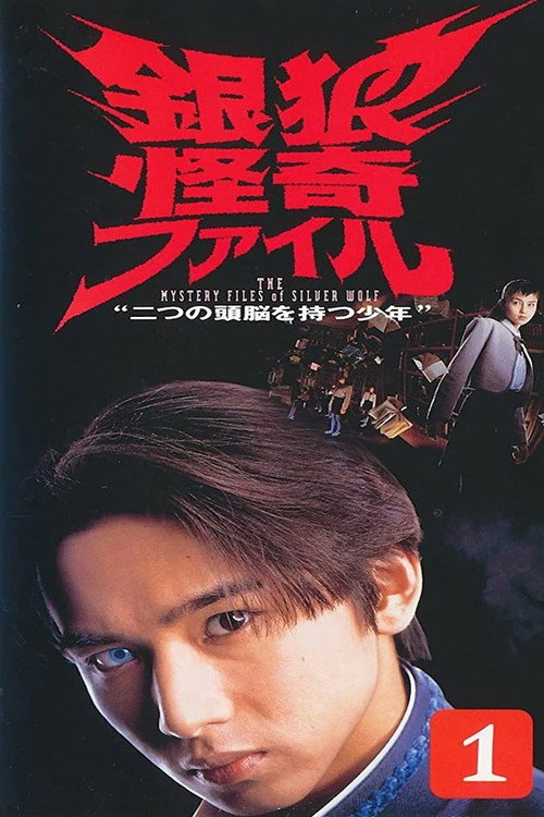 The Mystery Files of Silver Wolf poster