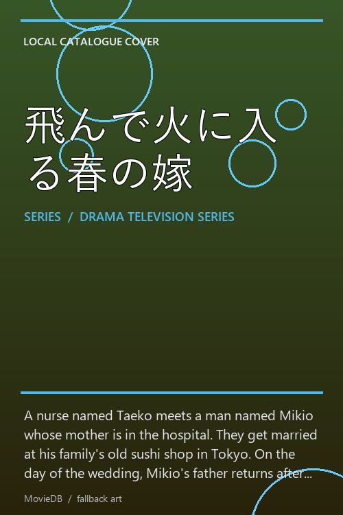 飛んで火に入る春の嫁 poster