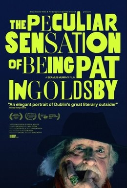 The Peculiar Sensation of Being Pat Ingoldsby poster