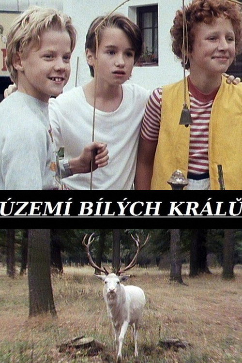 The Territory of White Deer poster