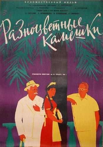Різнокольорові камінці poster