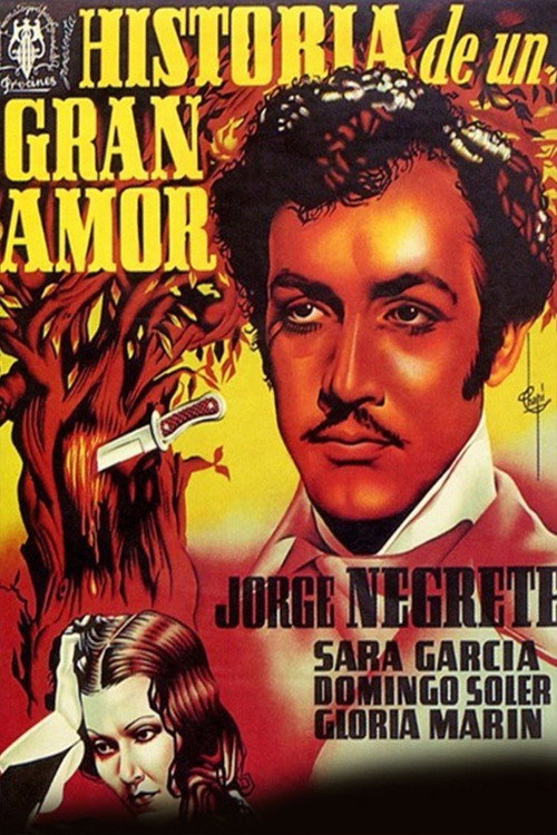 Historia de un gran amor poster