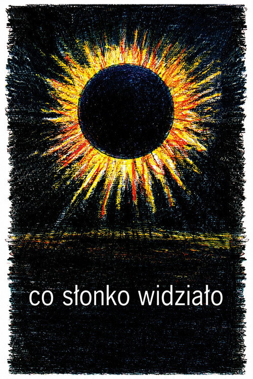 What the Sun Has Seen poster