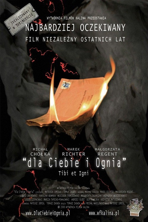 For You and the Fire poster