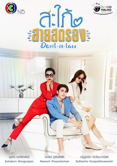 Devil-in-Law poster