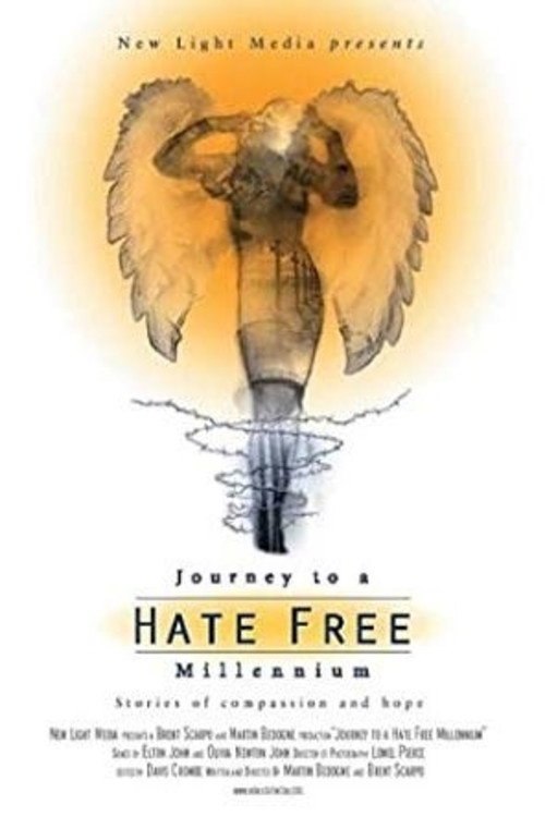 Journey to a hate free millennium poster