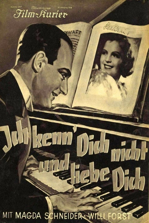 I Don’t Know You, but I Love You poster