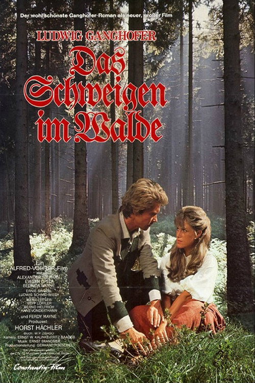 Silence in the Forest poster
