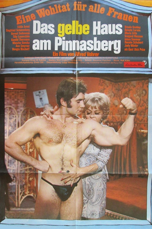 The Yellow House in Pinnasburg poster