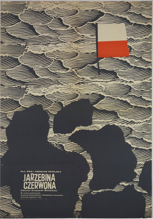 Jarzębina czerwona poster