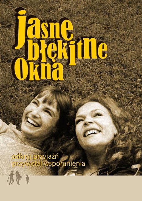 The Skylights poster