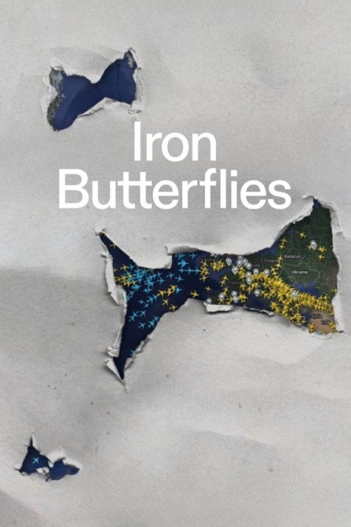 Iron Butterflies poster