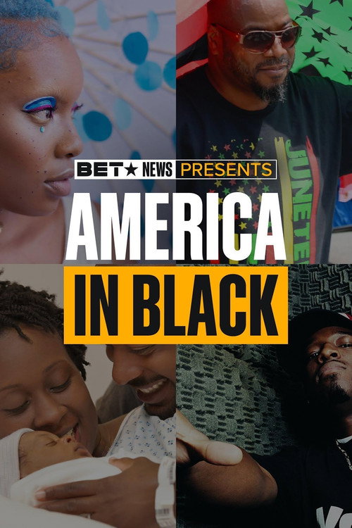 America in Black poster