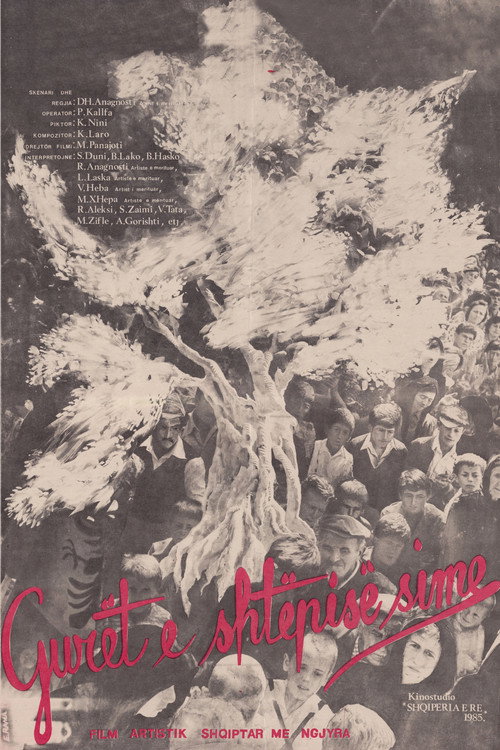 Gurët e shtëpisë sime poster