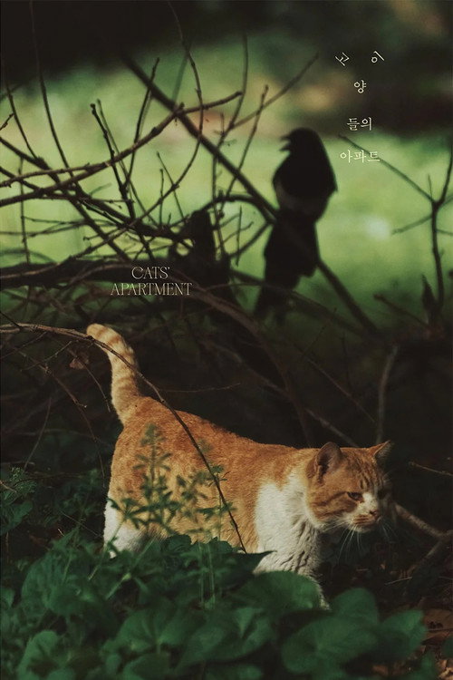 Cat's Apartment poster