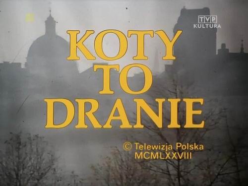 Koty to dranie poster