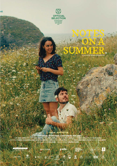 Notas sobre un verano poster