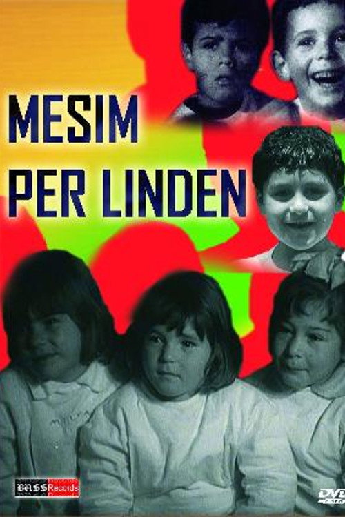 Lesson for Linda poster