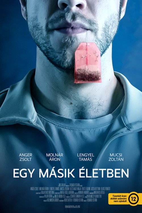 In Another Life poster