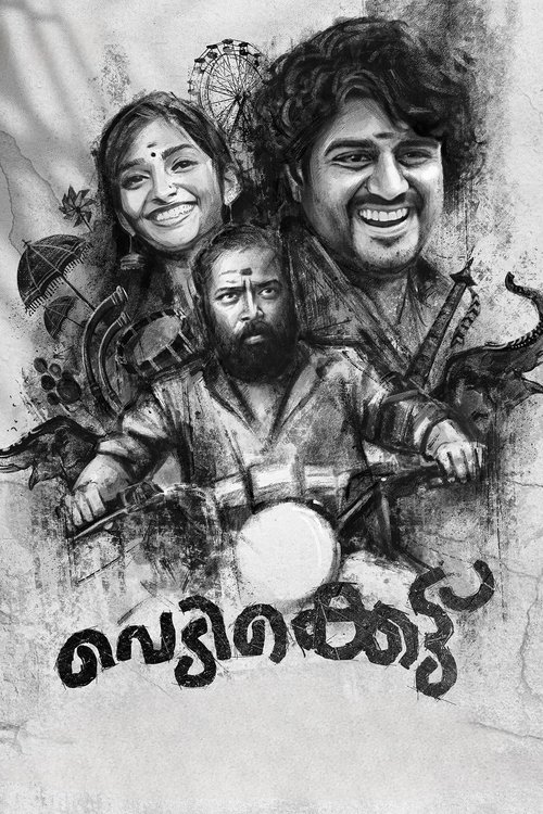 Vedikettu poster