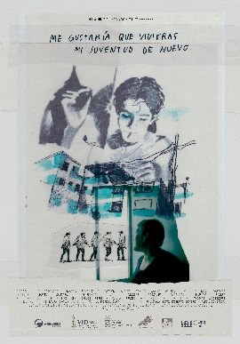 I'd Like You to Live My Youth Again poster
