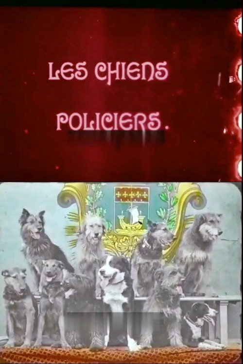 Les chiens policiers poster