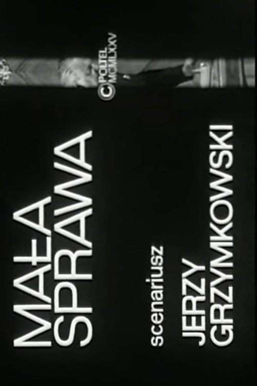 Mała sprawa poster