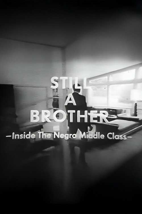 Still a Brother poster