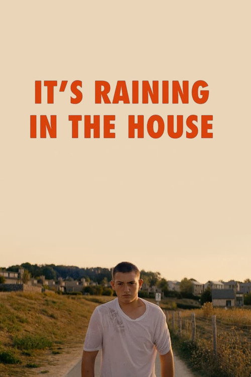 Il pleut dans la maison poster