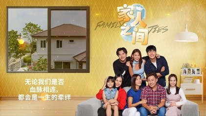 Family Ties poster