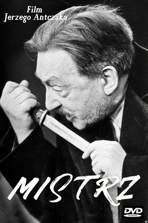 Mistrz poster