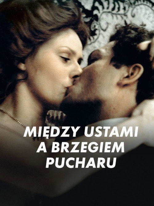 Between the Cup and the Lip poster