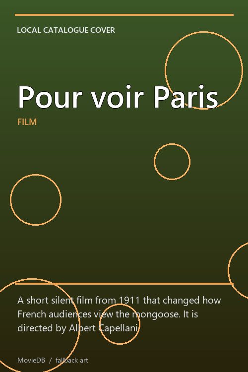 Pour voir Paris poster