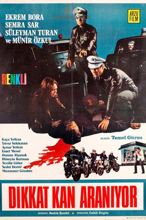Dikkat Kan Aranıyor poster