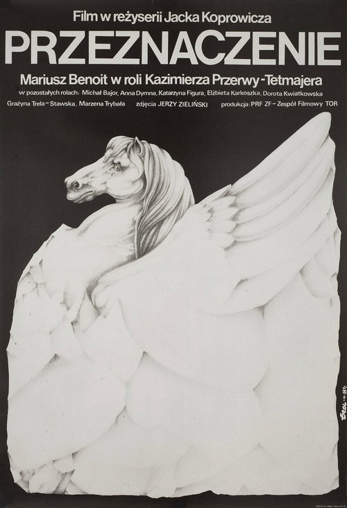 Przeznaczenie poster