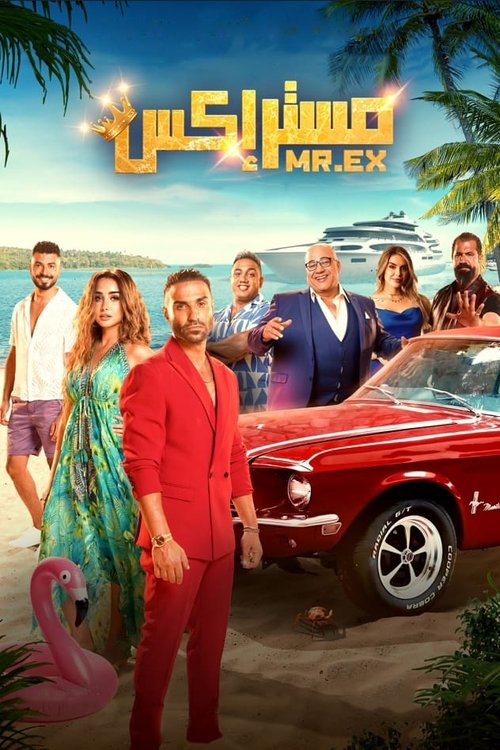 Mr. EX poster