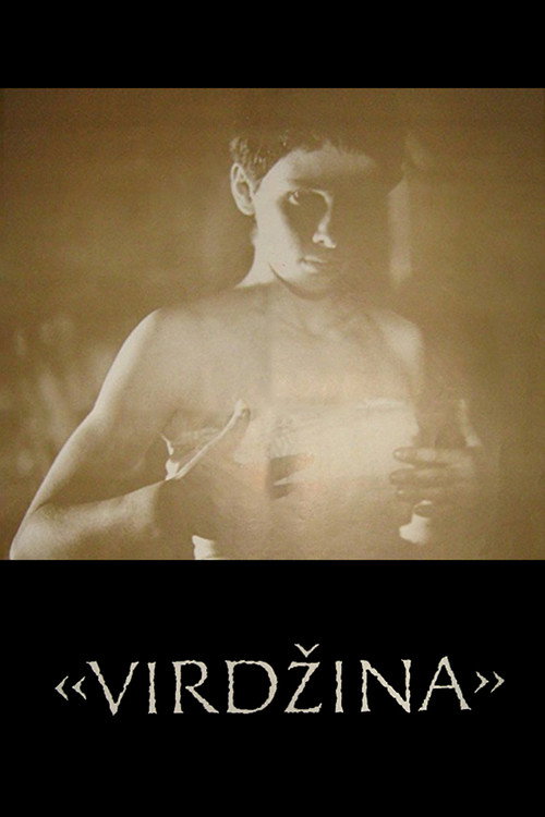 Virdžina poster