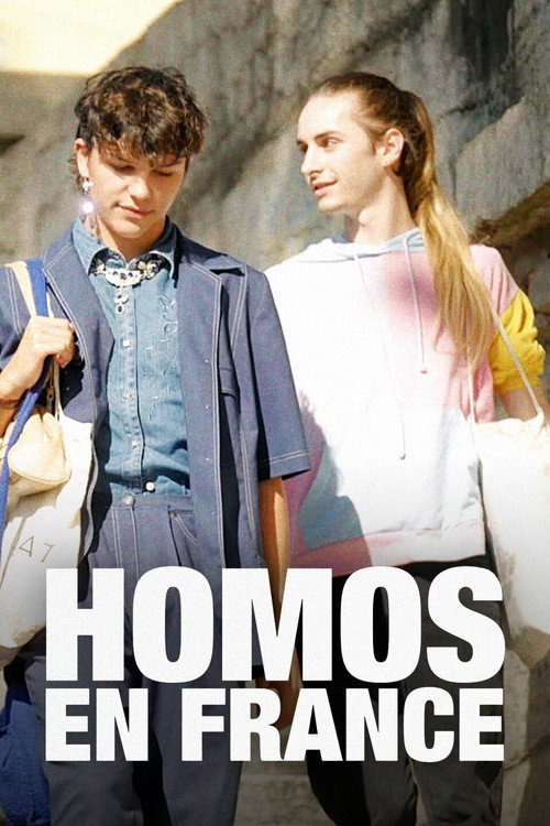 Homos en France poster