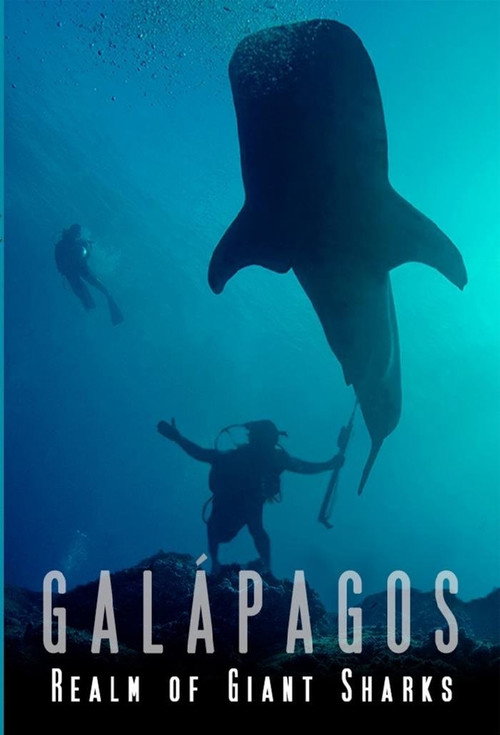 Galapagos: Realm of Giant Sharks poster
