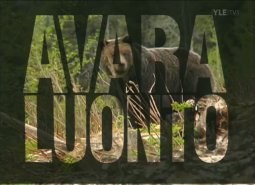 Avara luonto poster