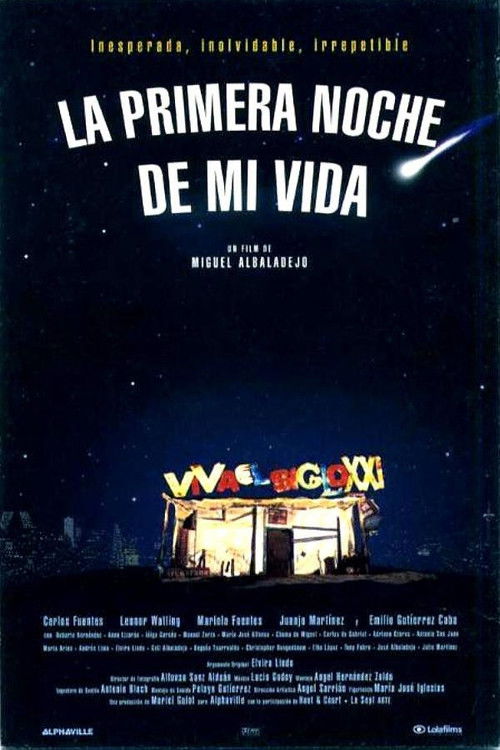 The First Night of My Life poster