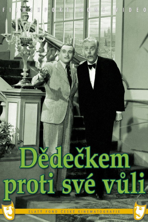 The Reluctant Grandfather poster