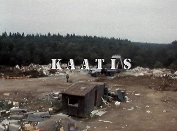 Kaatis poster