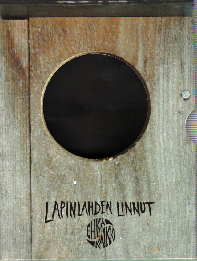 Lapinlahden Linnut: Ehkä kaikki poster