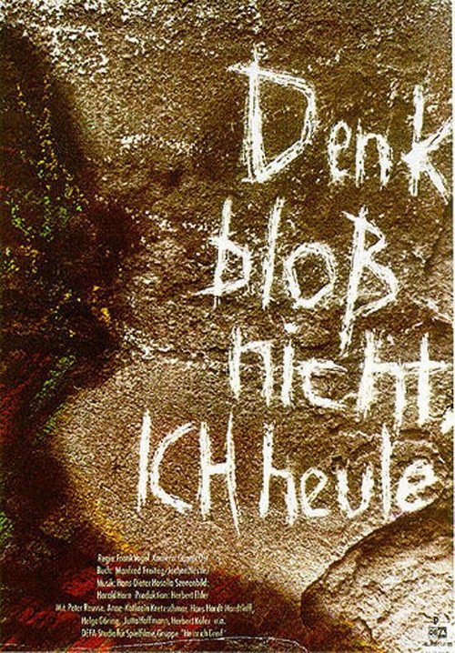 Denk bloß nicht, ich heule poster