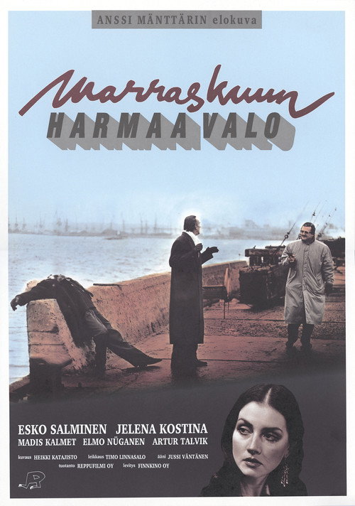 The Grey Light of November poster