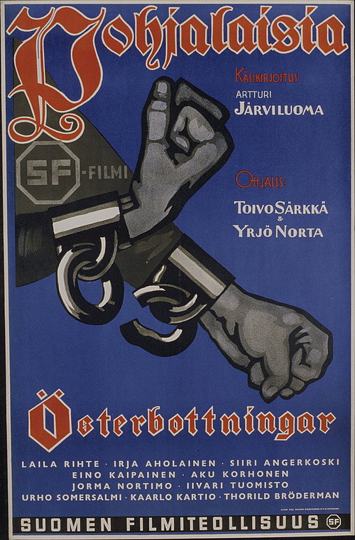 The Bothnians poster