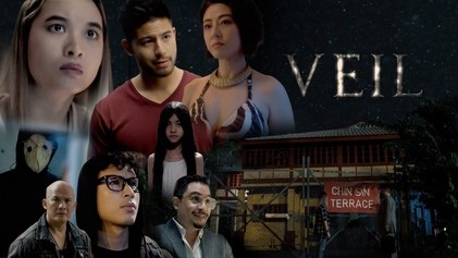Veil poster